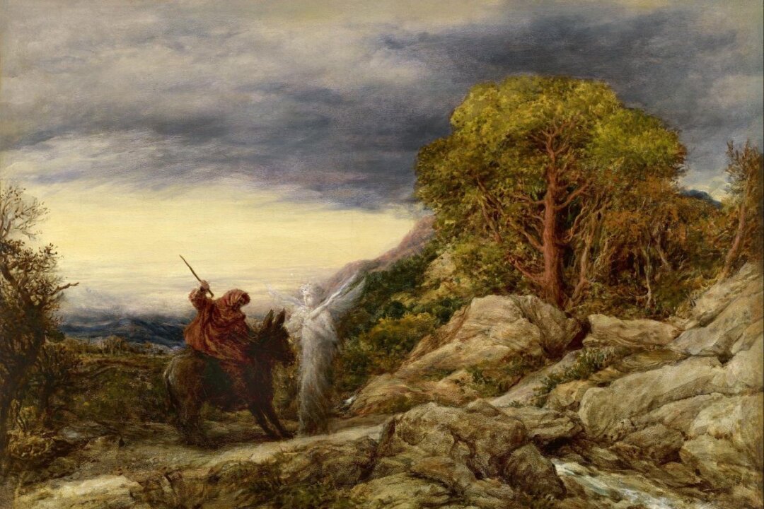 Balaam and His Donkey: Who’s the Fool Now, Then?