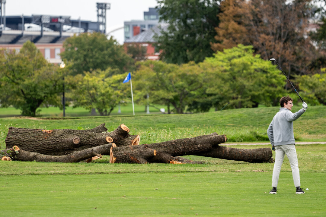 Federal Judge Blocks Trump Admin From Cutting Down Trees at DC Golf Course
