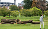 Federal Judge Again Blocks Trump Admin From Cutting Down Trees at DC Golf Course