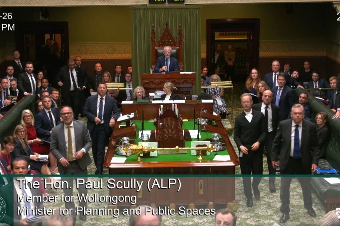 Climate Activist Removed After Disrupting NSW Parliament