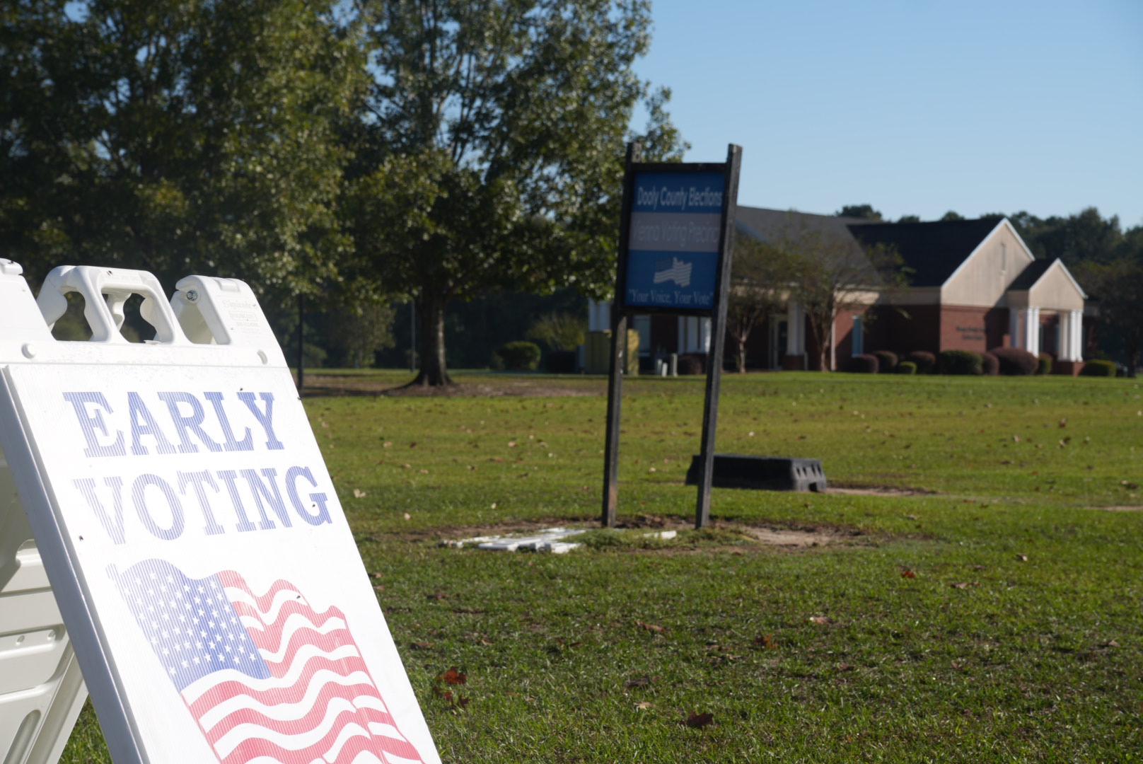 Georgia Early Voting