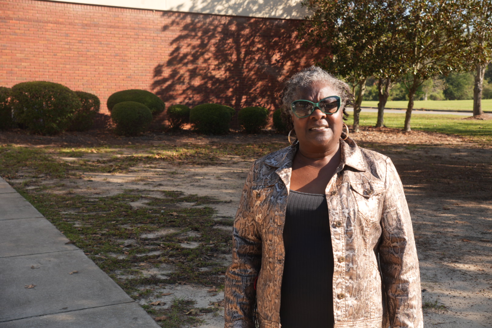 Georgia Early Voting