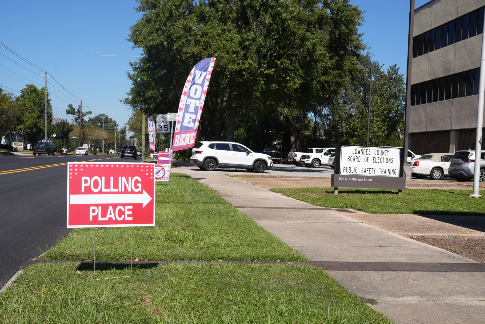 Georgia Early Voting