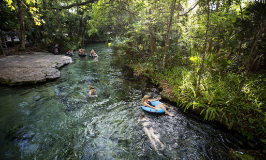 6 Springs in 2 Days: A Florida Road Trip Reveals the State’s Freshwater Treasures