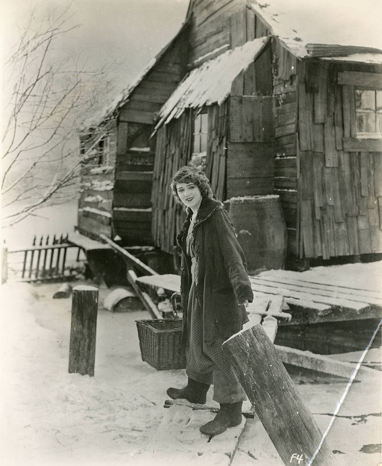 Tess Porter 