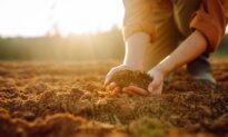 What Lessons Can We Learn From Wendell Berry?