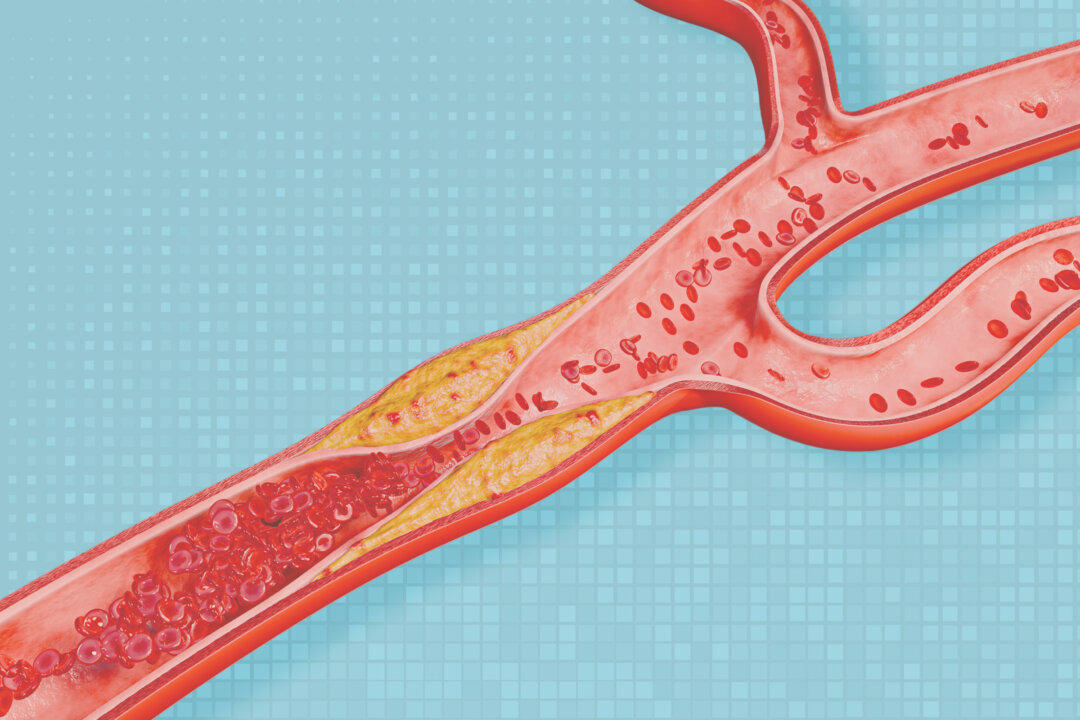 (Illustration by Lumi Liu, Shutterstock)