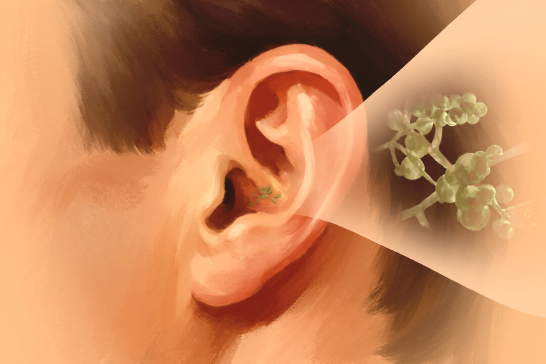 (Illustration by Ran / The Epoch Times)