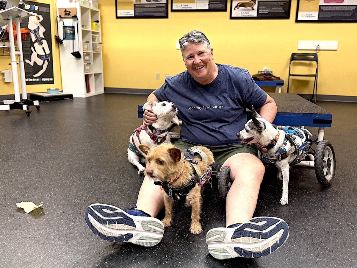 Pet mobility specialist Kate Titus poses with disabled canines Andy (L), Joey, and Half Moon on Oct. 9, 2026. Titus is the owner and founder of A Loyal Companion in Tucson, Arizona. (Allan Stein/The Epoch Times)