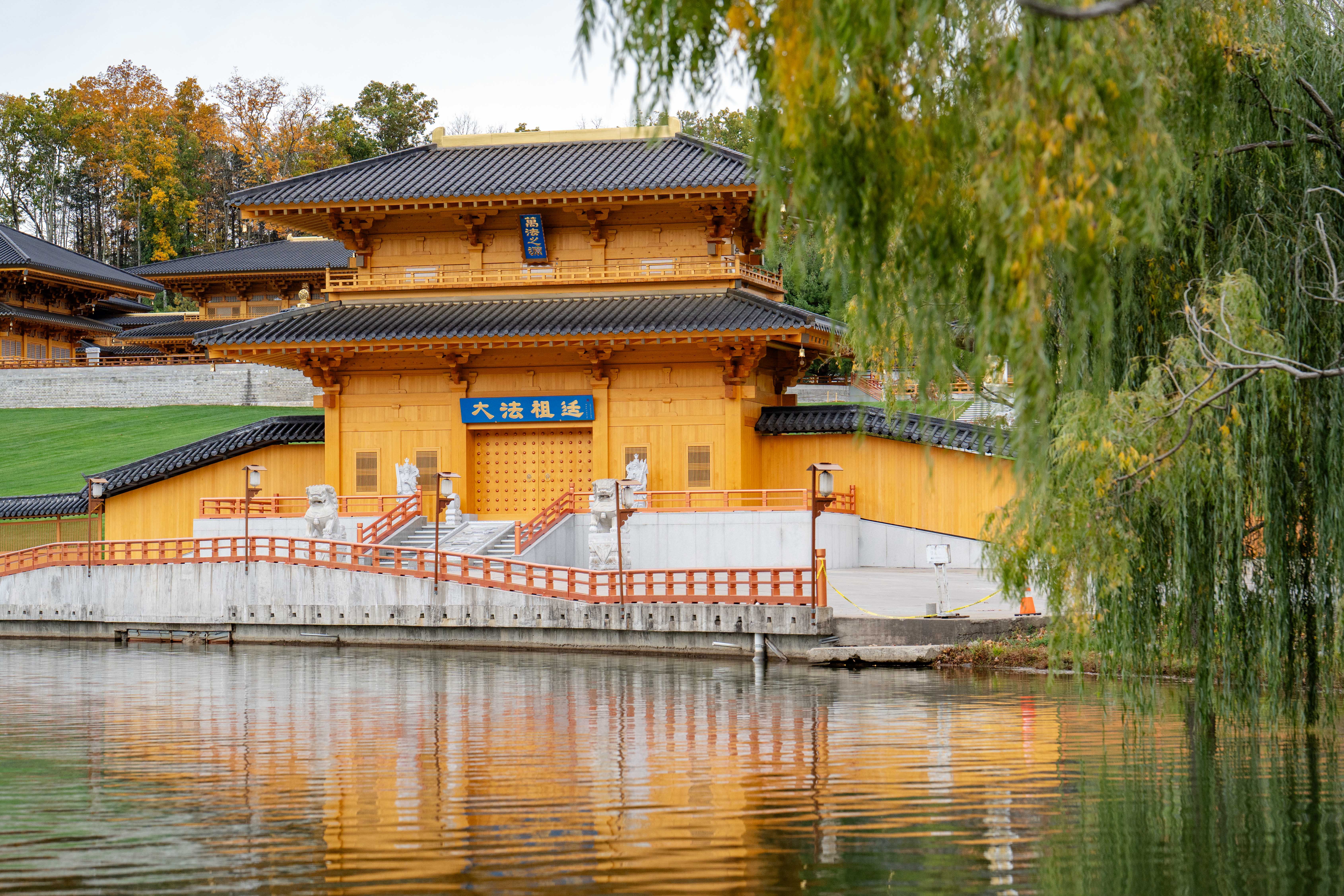 dragon spring-1
