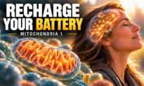 How to Revive the Cells’ Power Plants—Mitochondria—for Brain Health: Dr. Russell Blaylock