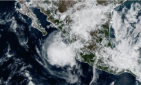 Hurricane Trudy Hits Mexican Coastline With Heavy Rainfall, Strong Winds