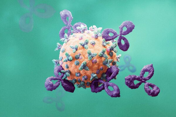 The Most Important Lifestyle Factors for Autoimmune Disease