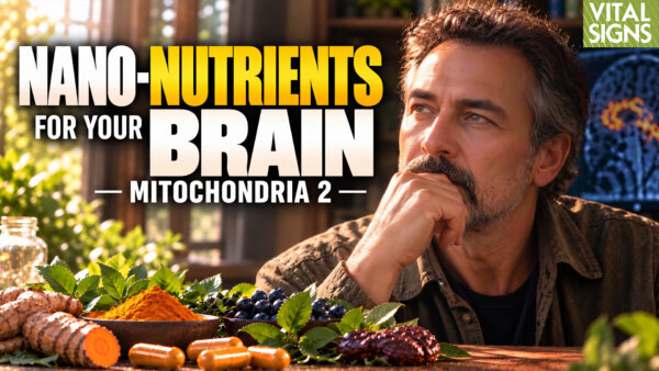 Food for Mitochondria: Nano-Sized and Activated Vitamins to Power Our ‘Cells’ Batteries’—PART 2