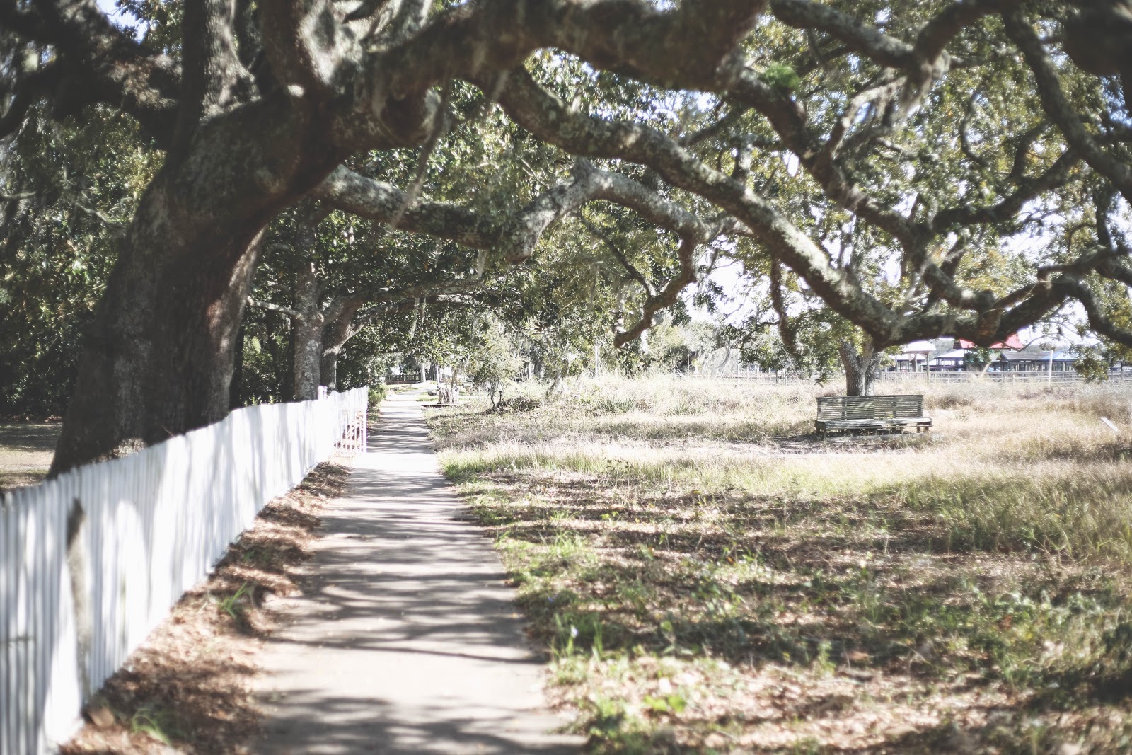 (Annie Theby/Unsplash.com)