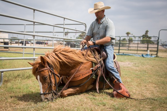 Border Patrol Agent and horse instructor Sean Davis with Vega, a horse named after fallen agent Javier Vega, Jr., in Edinburg, Texas, on May 26, 2017. Javier Vega was shot and killed by two illegal aliens when he attempted to take law enforcement action while he and his family were being robbed while out fishing on Aug. 3, 2014. (Benjamin Chasteen/The Epoch Times)