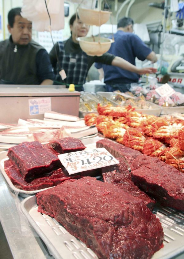 Whale Meat Fetches ‘Celebration Prices’ After Japanese Hunt