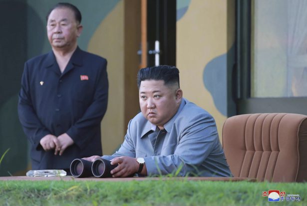 North Korea Projectiles