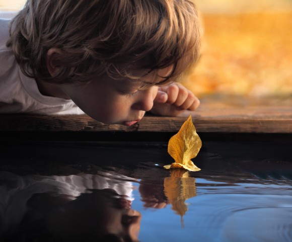 (Chepko Danil Vitalevich/Shutterstock)